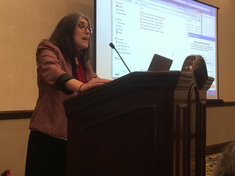 LCWR member Imna Cuesta, CMS leads a regional gathering of delegates