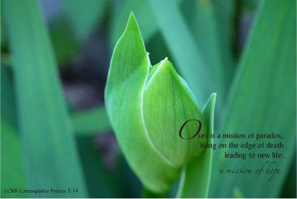 4x6" version of "Contemplative Insight - March 2014" may be downloaded by scrolling to the bottom of this page