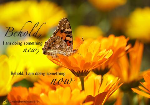 4x6" version of "Contemplative Insight - May 2014" may be downloaded by scrolling to the bottom of this page